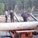 Kars’ta Buzağı kayıplarına karşı septisemi aşısı seferberliği sürüyor – Birlik Haber Ajansı